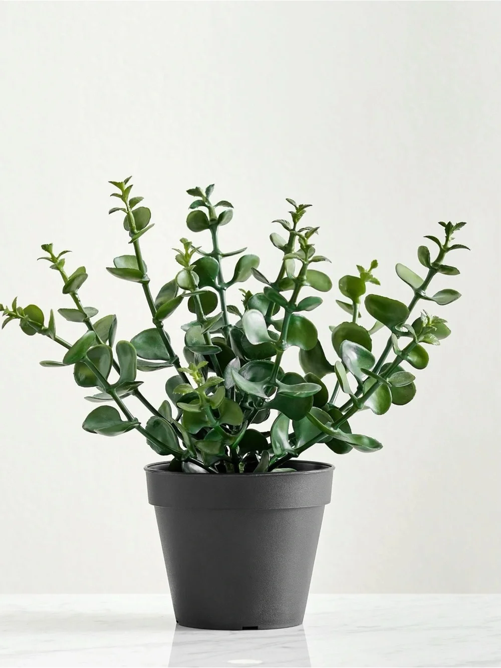 Pottery Barn Faux Potted Silver Dollar Mini Eucalyptus Plants Set of 2 NWT